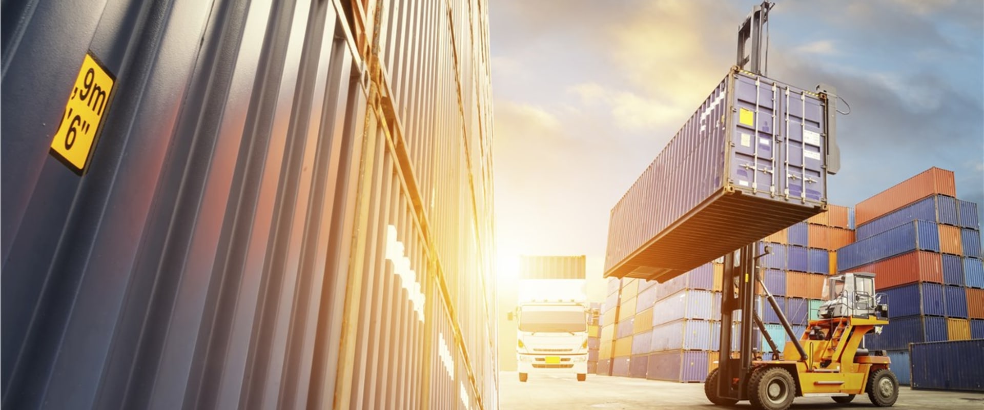 The Ultimate Guide to International Movers: Tips from an Expert