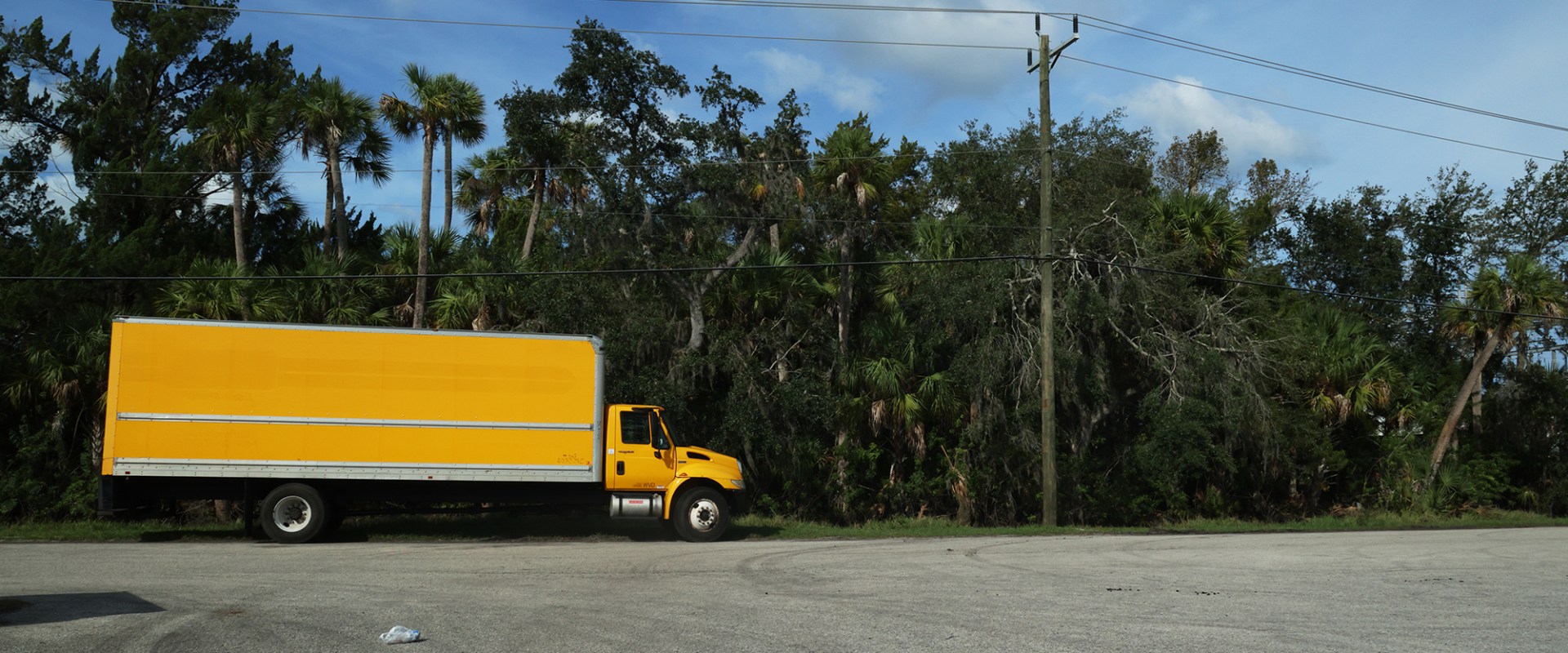 Checking Reviews & Ratings When Researching Movers in Florida