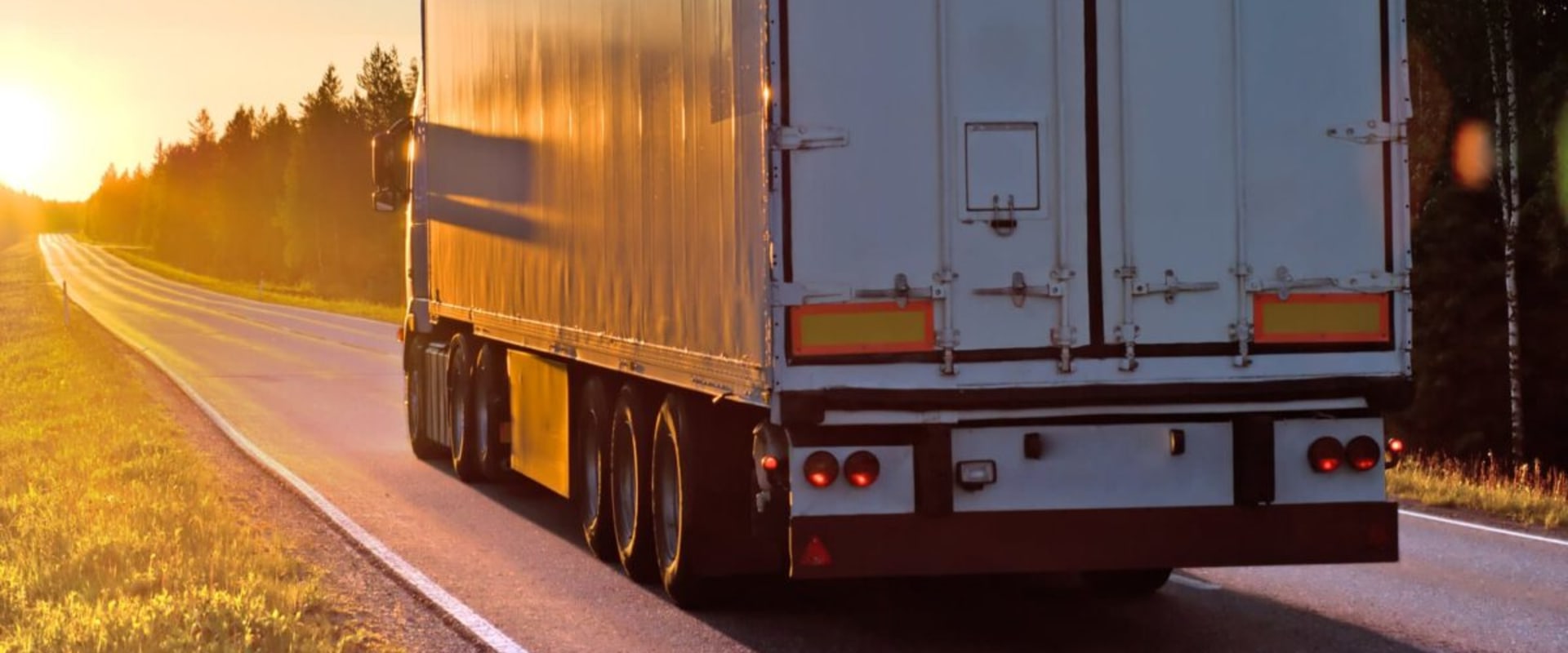 Affordable Movers in Florida: Tips from an Expert